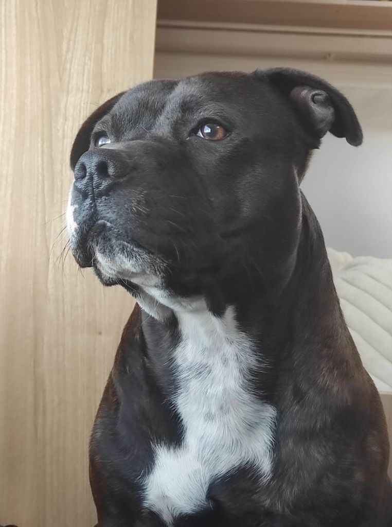 Nouvelles de Vogor Win Power