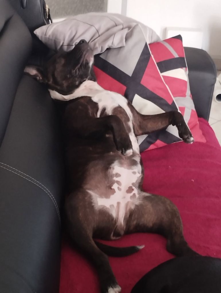 des Plaines de Jfettaa - Nouvelles de Vaïka Little Winnie